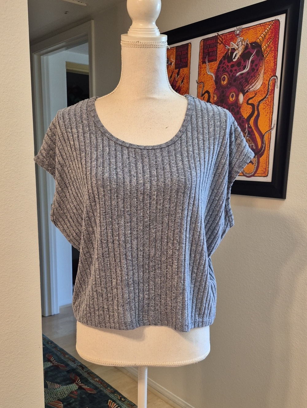 Z Supply Shoreline Rib Knit Fuzzy Soft Blue Oversized Sleeveless Top Scoop Neck